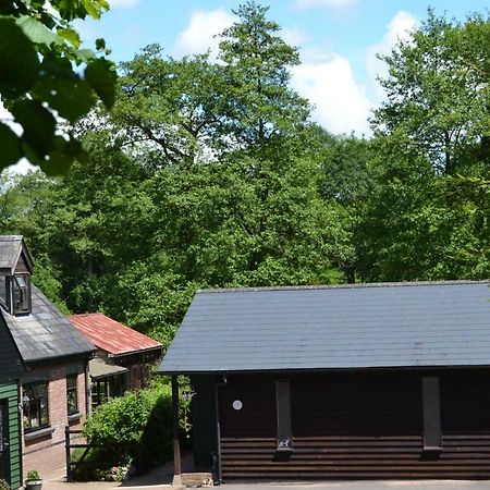킹스턴 Arrowwood Self Catering 빌라 외부 사진