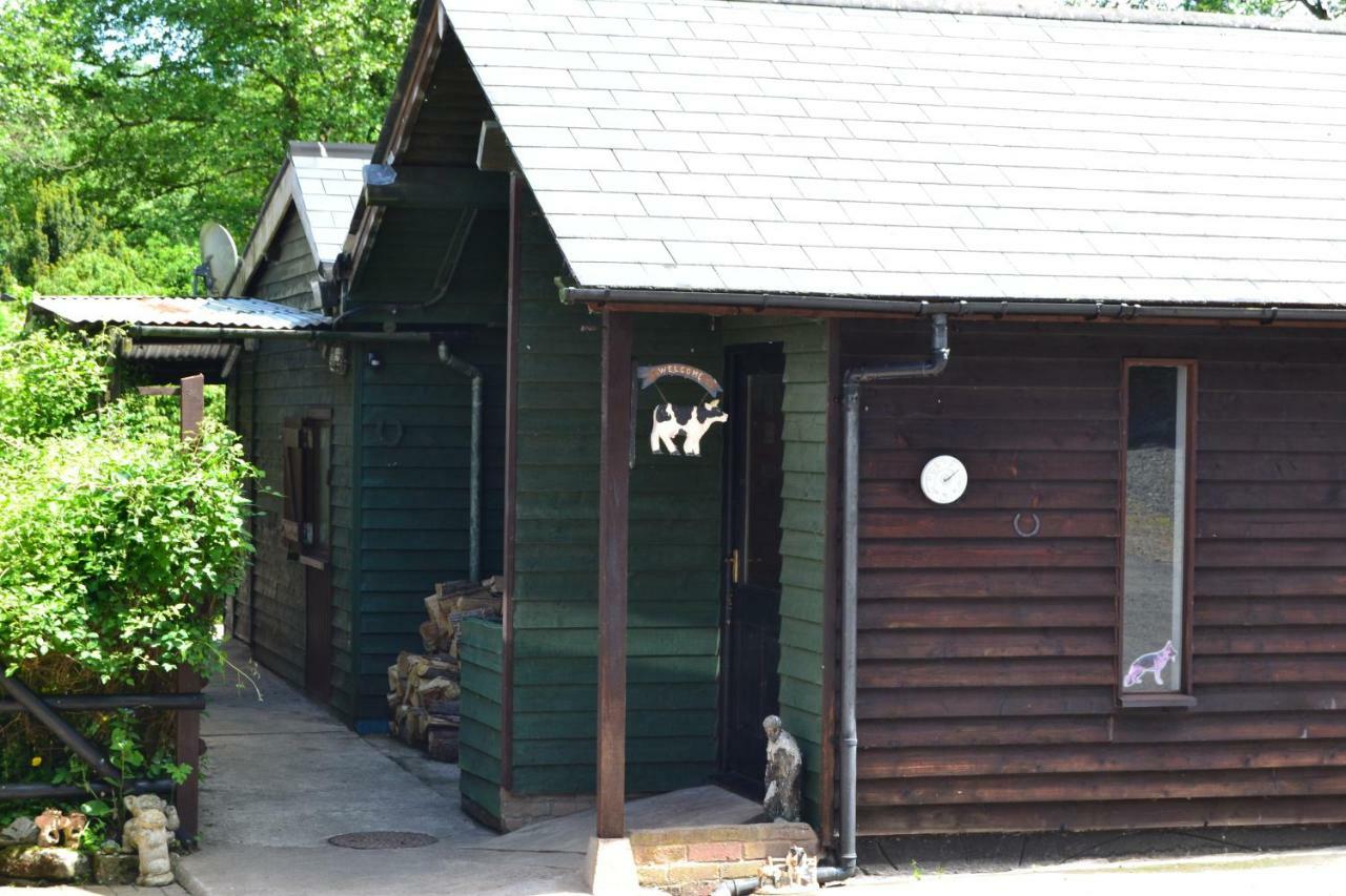 킹스턴 Arrowwood Self Catering 빌라 외부 사진